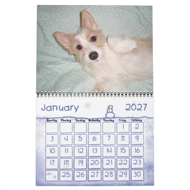 Mural Calendrier portugais Podengo Pequeno (Jan 2027)