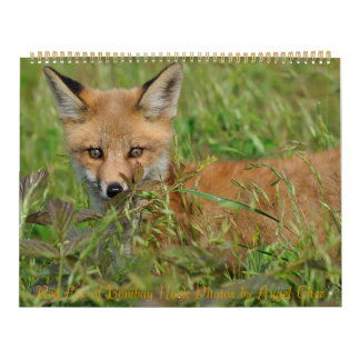 Mural Calendrier Red Fox par Angel Cher