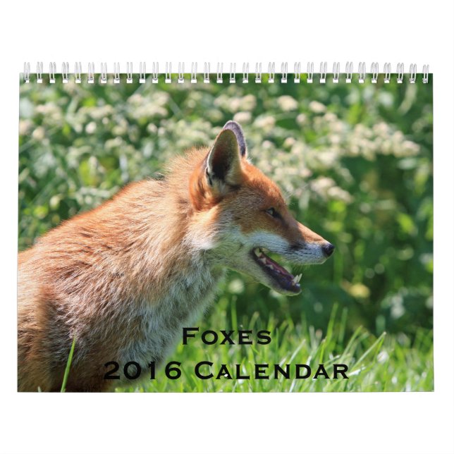 Mural Calendrier Renards 2016 (Protection)