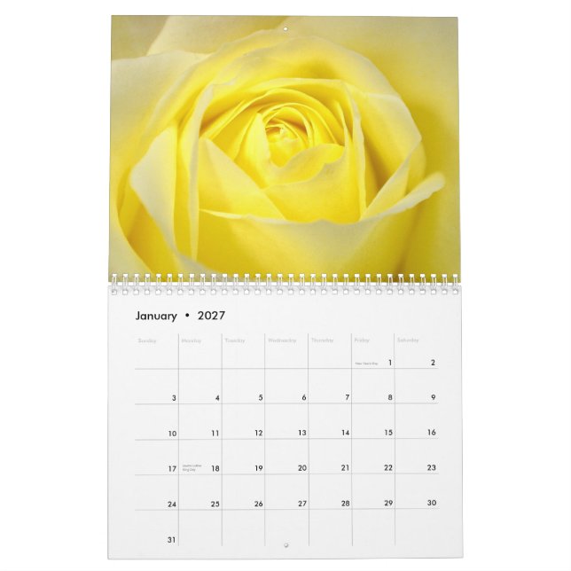 Mural Calendrier rose 2015 (Jan 2027)