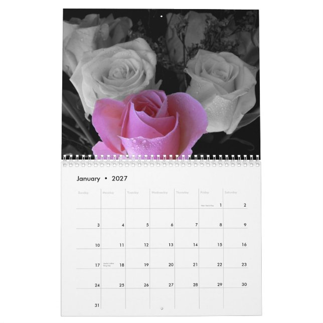 Mural Calendrier Rose 2015 (Jan 2027)