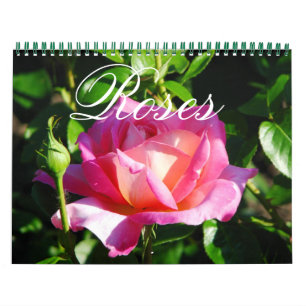 Mural Calendrier Rose du jardin anglais