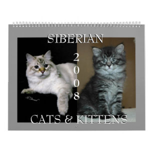 Mural Calendrier sibérien 2008 de chats