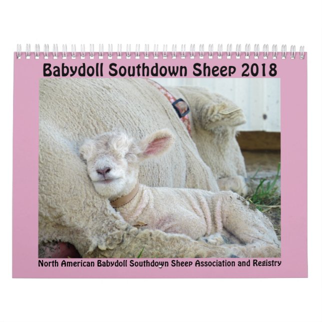 Mural Calendrier Southdown de 2018 de NABSSAR moutons de (Protection)