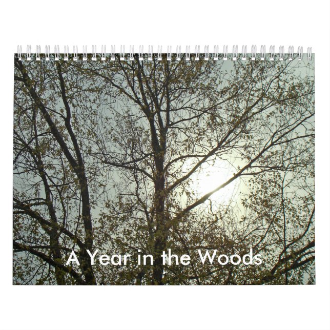 Mural Calendrier - Une année dans les bois (Protection)