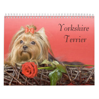 Mural Calendrier Yorkshire Terrier