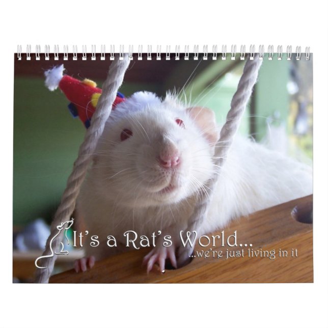 Mural C'est un calendrier 2016 du monde de rat (Protection)