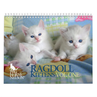 Mural Chatons vol. de Ragdoll. Un calendrier