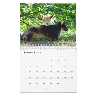 Mural Chèvres sur le calendrier de ferme de K-N-S