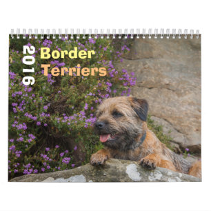 Mural Chien de Terrier de frontière, milieu, calendrier