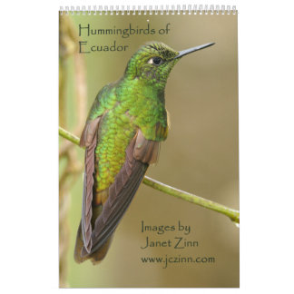 Mural Colibris de calendrier de l'Equateur