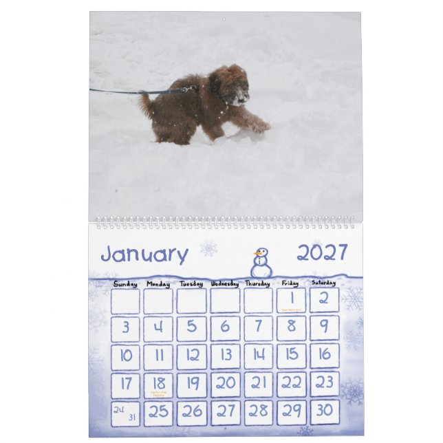 Mural Couverture, calendrier d'Enzo (Jan 2027)