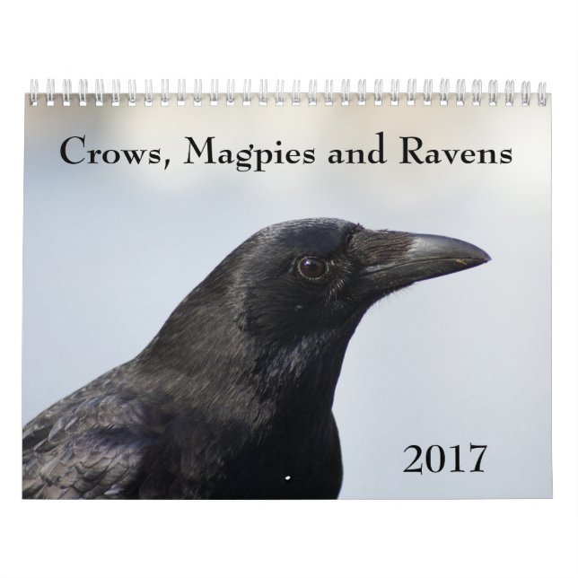 Mural Crows, Magpies et Ravens Calendrier 2017 (Protection)