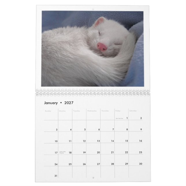 Mural Édition de calendrier de furet ?ère (Jan 2027)