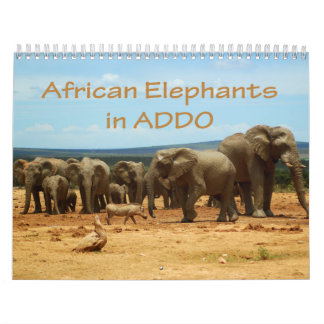 Mural Éléphants africains dans le calendrier d'Addo