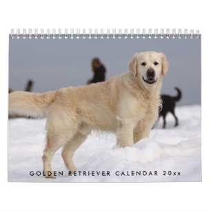 Mural Golden Retriever Calendrier 2023 Avec Vos Photos