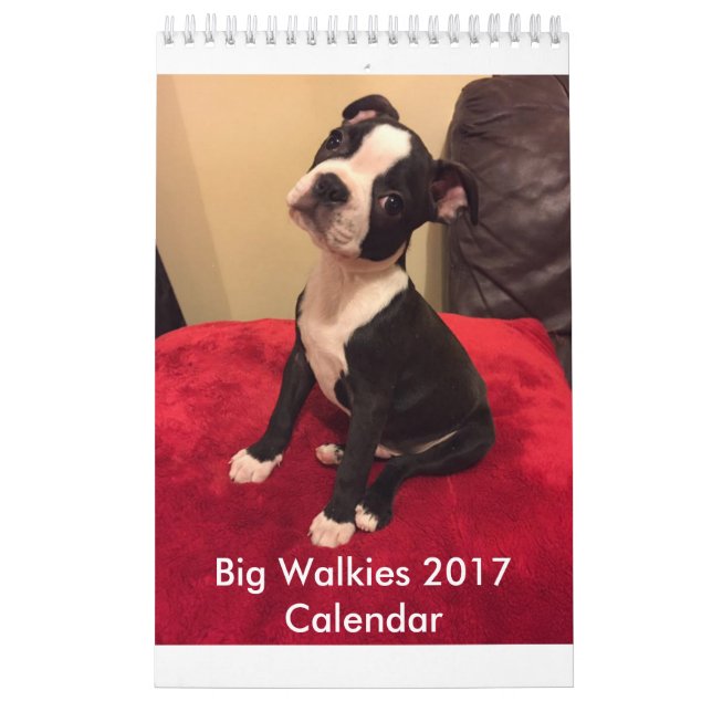 Mural Grand calendrier 2017 de Walkies (Protection)