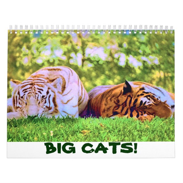 Mural GRANDS CHATS ! Calendrier (Protection)