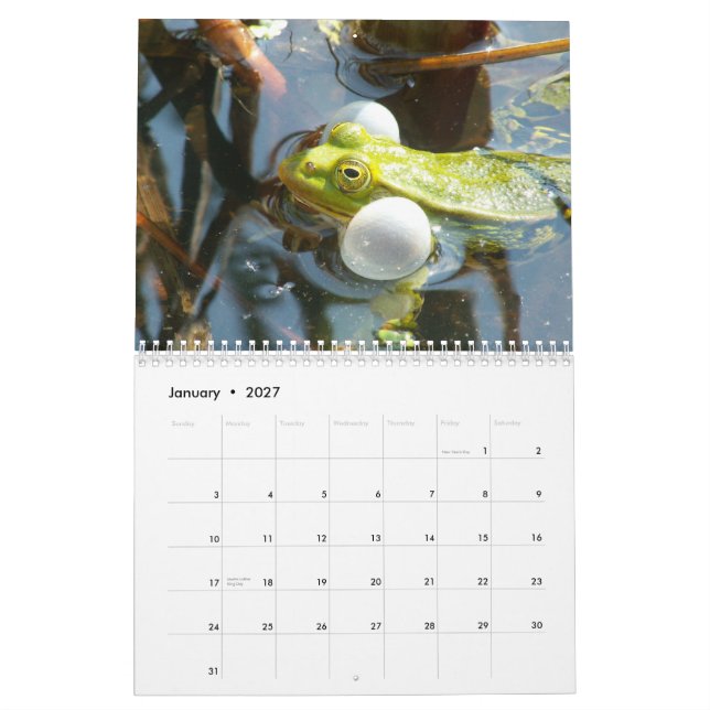 Mural Grenouilles du calendrier du monde (Jan 2027)