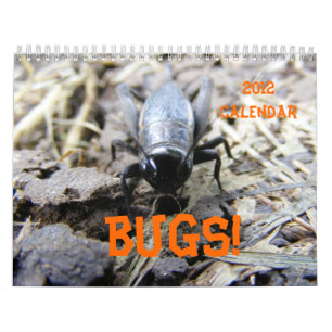Mural INSECTES! Calendrier 2012