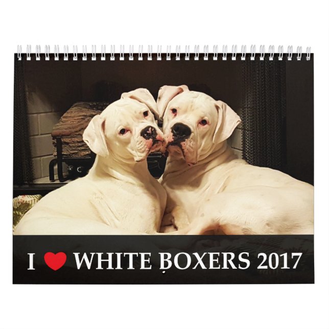 Mural J'aime le calendrier blanc des boxeurs 2017 (Protection)