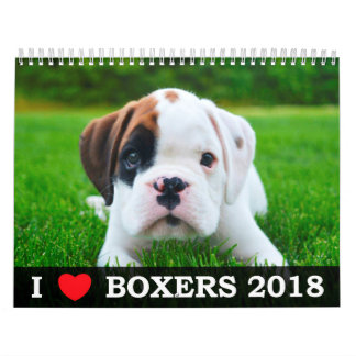 MURAL J'AIME MON CALENDRIER DES BOXEURS 2018