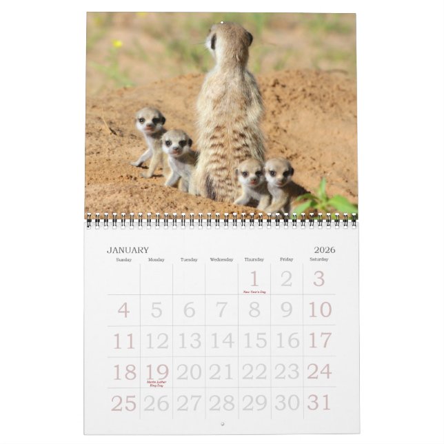 Mural KMP Meerkats - calendrier 2015 (Jan 2026)
