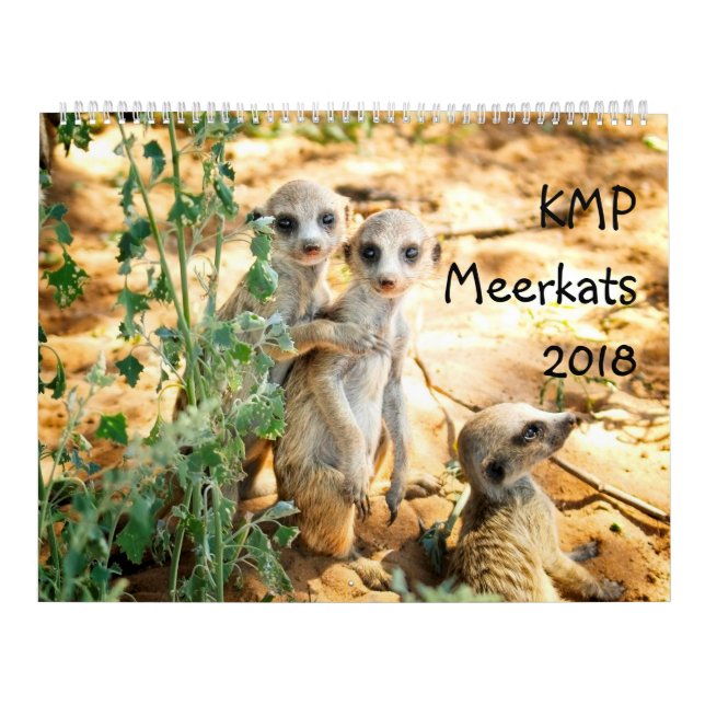 Mural KMP Meerkats - calendrier 2018 (Protection)