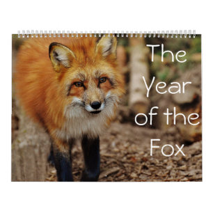 Mural L'année du calendrier Fox