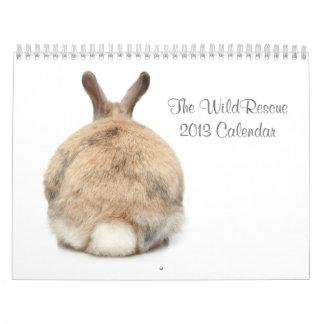 Mural Le calendrier de WildRescue 2013 !