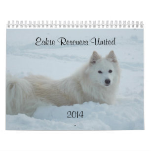 Mural Le calendrier d'ERU 2014