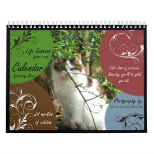 Mural Leçons de la vie d'un calendrier de chat