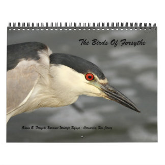 Mural Les oiseaux de Forsythe - calendrier officiel de