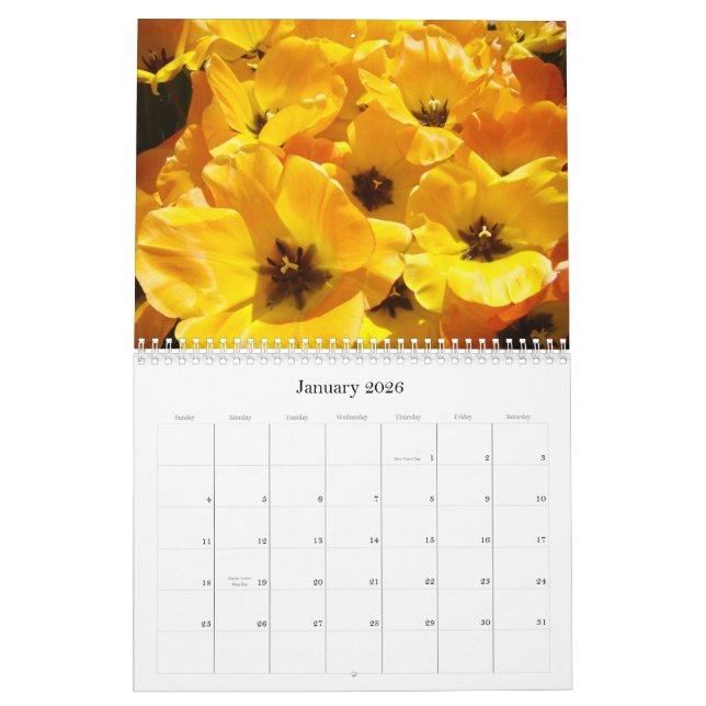 Mural Les professeurs de cadeaux de calendrier sont les (Jan 2026)