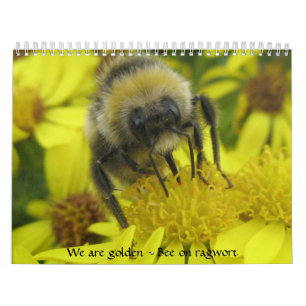 Mural Macro calendrier d'insectes