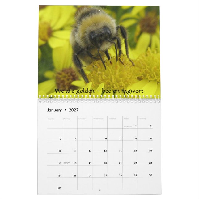 Mural Macro calendrier d'insectes (Jan 2027)
