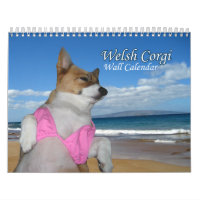 Magnifique Calendrier gallois de Corgi