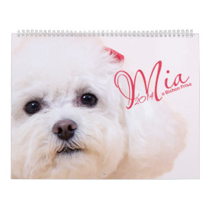 Mural Mia - un calendrier de Bichon Frise 2014