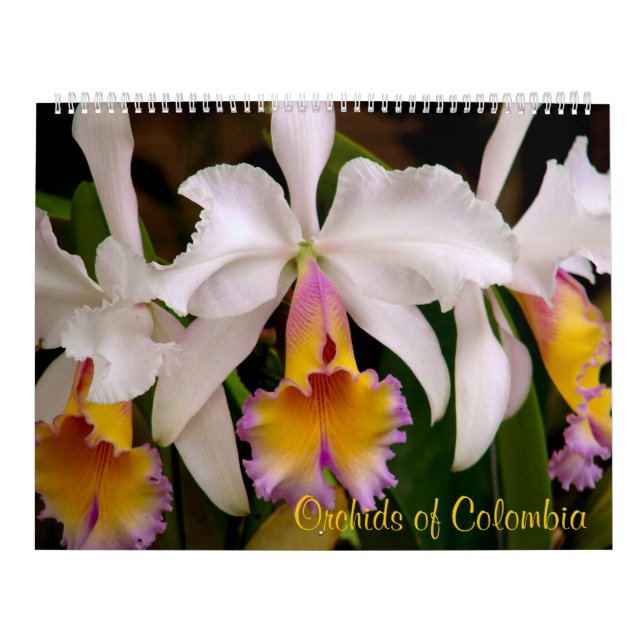 Mural Orchidées du calendrier 2013 de la Colombie (Protection)