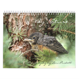 Mural Par nature calendrier 2013 de photographie