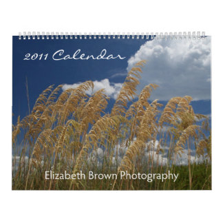 Mural Paysages marins et paysages - calendrier 2011
