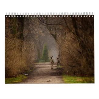 Mural Photographie d'influence naturelle 2016 Calendrier