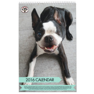 Mural RENIFLEZ le calendrier 2016