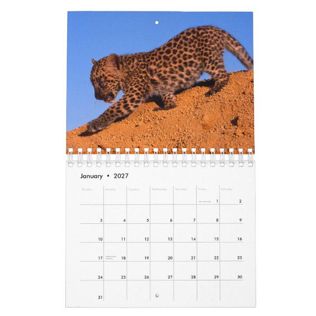 Mural Rien mais léopards - calendrier 2012 (Jan 2027)