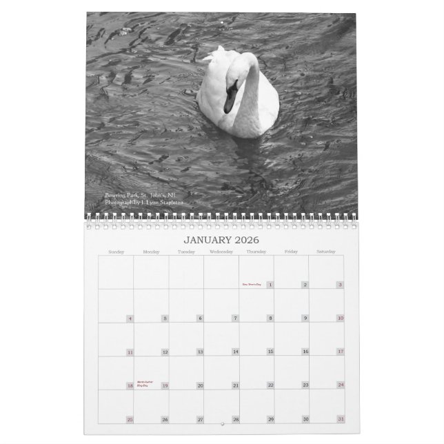 Mural Terre-Neuve en images : Calendrier 2013 (Jan 2026)