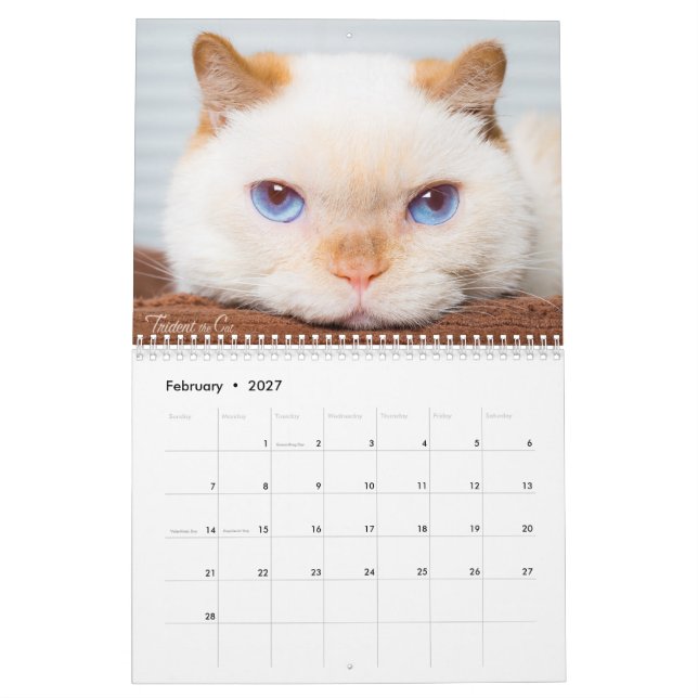 Mural Trident 2017 le calendrier de chat (Feb 2027)