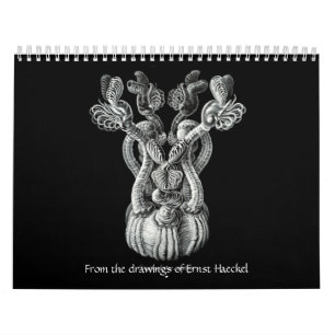 Mural Un calendrier des dessins d'Ernst Haeckel.
