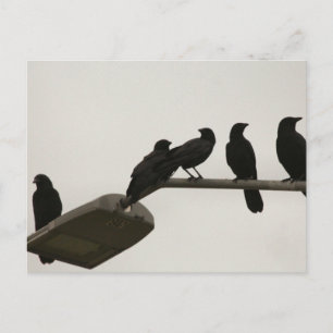 Murder on the street light postcard