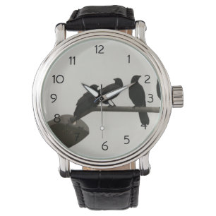 Murder on the street light     watch