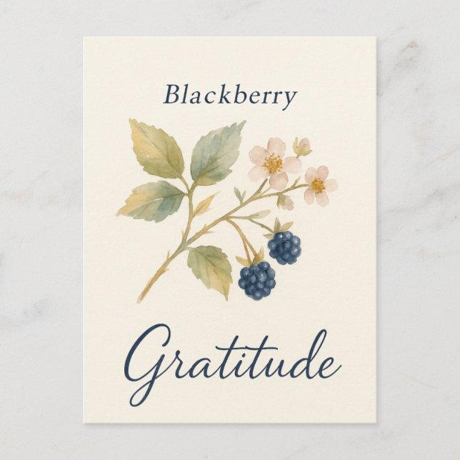 Mûre — Carte postale de gratitude (Devant)
